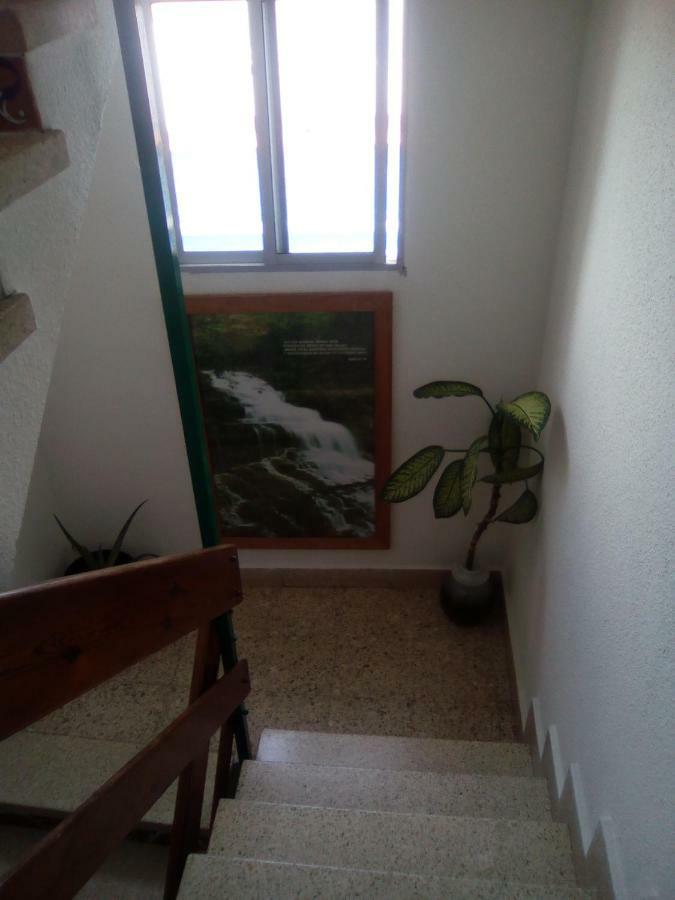 8 Calle Tangara La Gloria Santa Cruz de Tenerife Eksteriør bilde